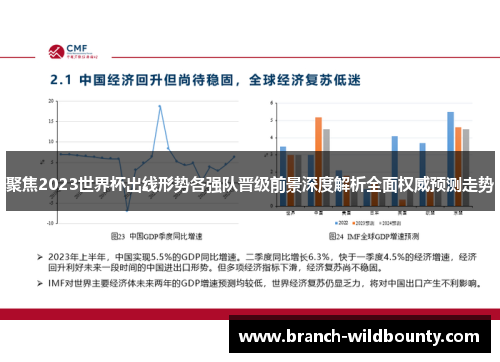 聚焦2023世界杯出线形势各强队晋级前景深度解析全面权威预测走势