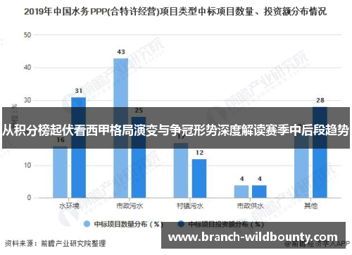 从积分榜起伏看西甲格局演变与争冠形势深度解读赛季中后段趋势