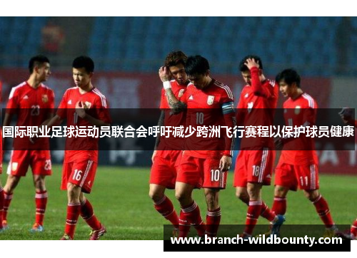 国际职业足球运动员联合会呼吁减少跨洲飞行赛程以保护球员健康