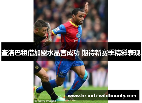 查洛巴租借加盟水晶宫成功 期待新赛季精彩表现