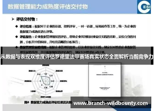 从数据与表现双维度评估罗德里法甲赛场真实状态全面解析当前竞争力 从数据与表现双维度评估罗德里法甲赛场真实状态全面解析当前竞争力