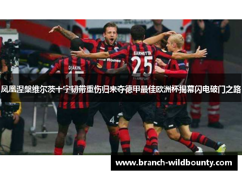 凤凰涅槃维尔茨十字韧带重伤归来夺德甲最佳欧洲杯揭幕闪电破门之路