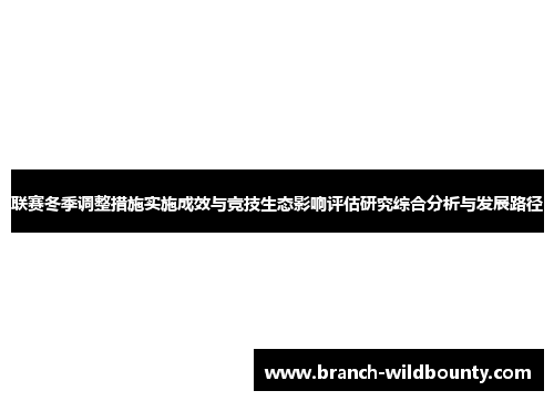 联赛冬季调整措施实施成效与竞技生态影响评估研究综合分析与发展路径