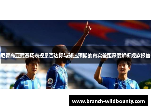 厄德高亚冠赛场表现是否达标与球迷预期的真实差距深度解析观察报告