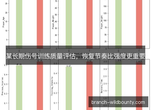 某长期伤号训练质量评估，恢复节奏比强度更重要