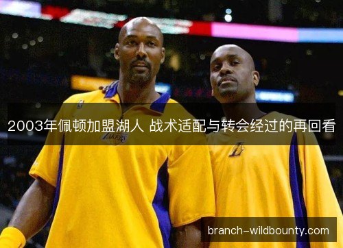 2003年佩顿加盟湖人 战术适配与转会经过的再回看 2003年佩顿加盟湖人 战术适配与转会经过的再回看